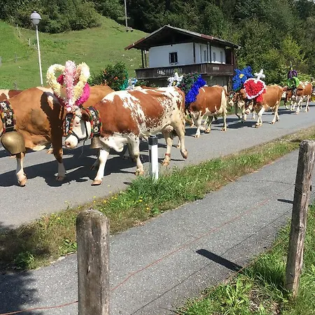 Maison d'hôtes Pension Wörgötter Kirchdorf in Tirol