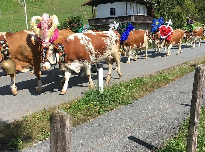 Affittacamere Pension Woergoetter Kirchdorf in Tirol