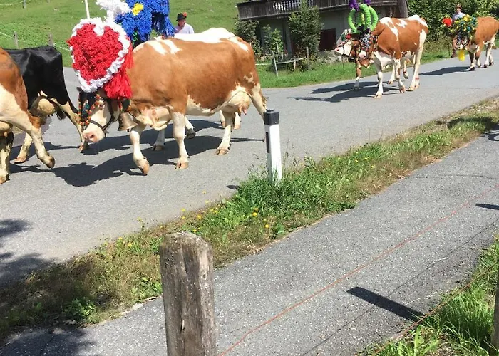 Pension Woergoetter 2* Kirchdorf in Tirol