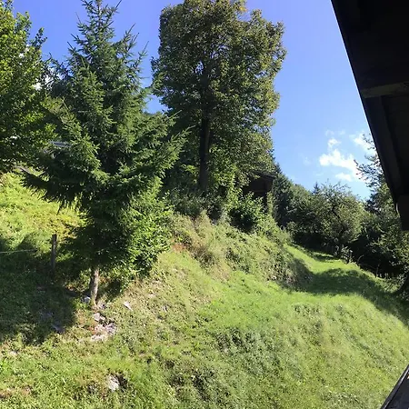 Pensionat Pension Wörgötter Kirchdorf in Tirol