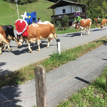 Pension Wörgötter 2* Kirchdorf in Tirol