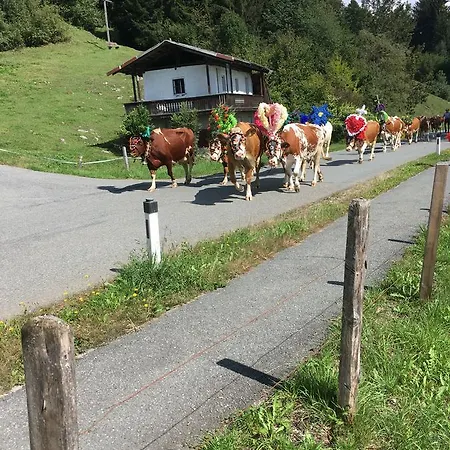 Pension Wörgötter 2*