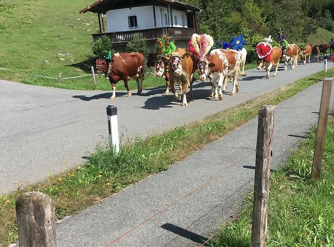 Pension Woergoetter 2*